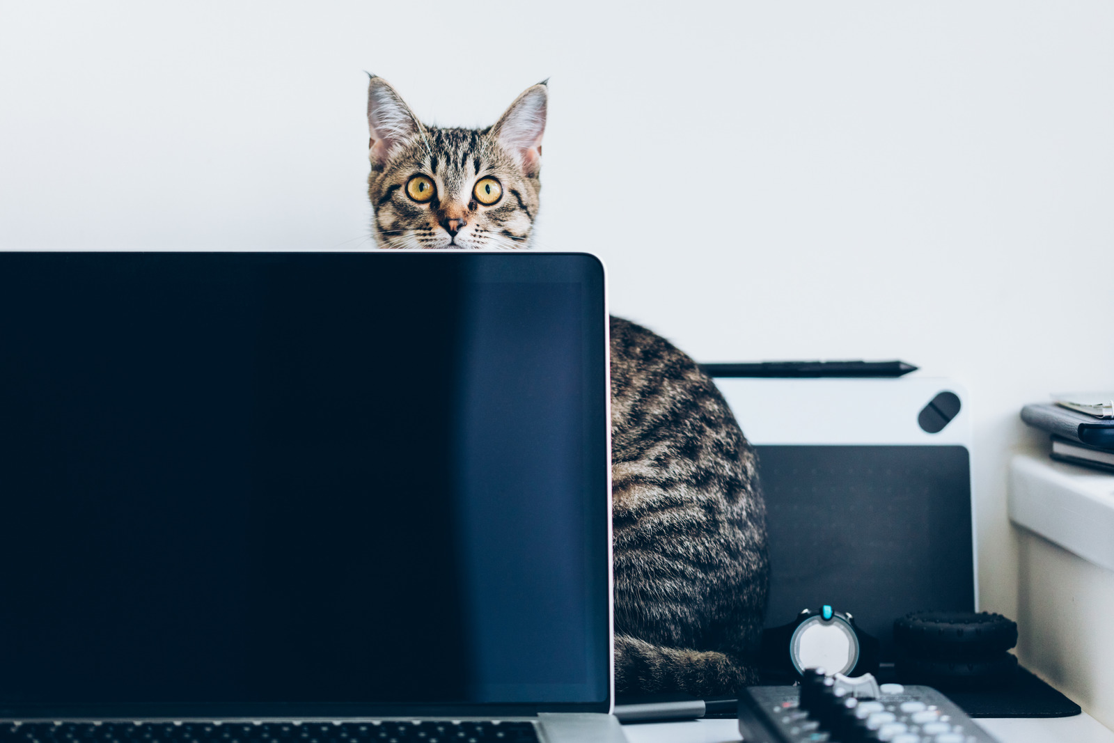 Outsourcing is the answer to ditching deadly distractions when you want to grow your interior design practice.